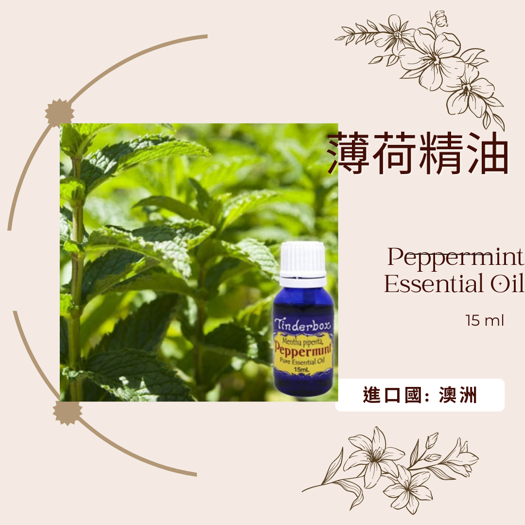 薄荷精油 TINDERBOX 絕版品